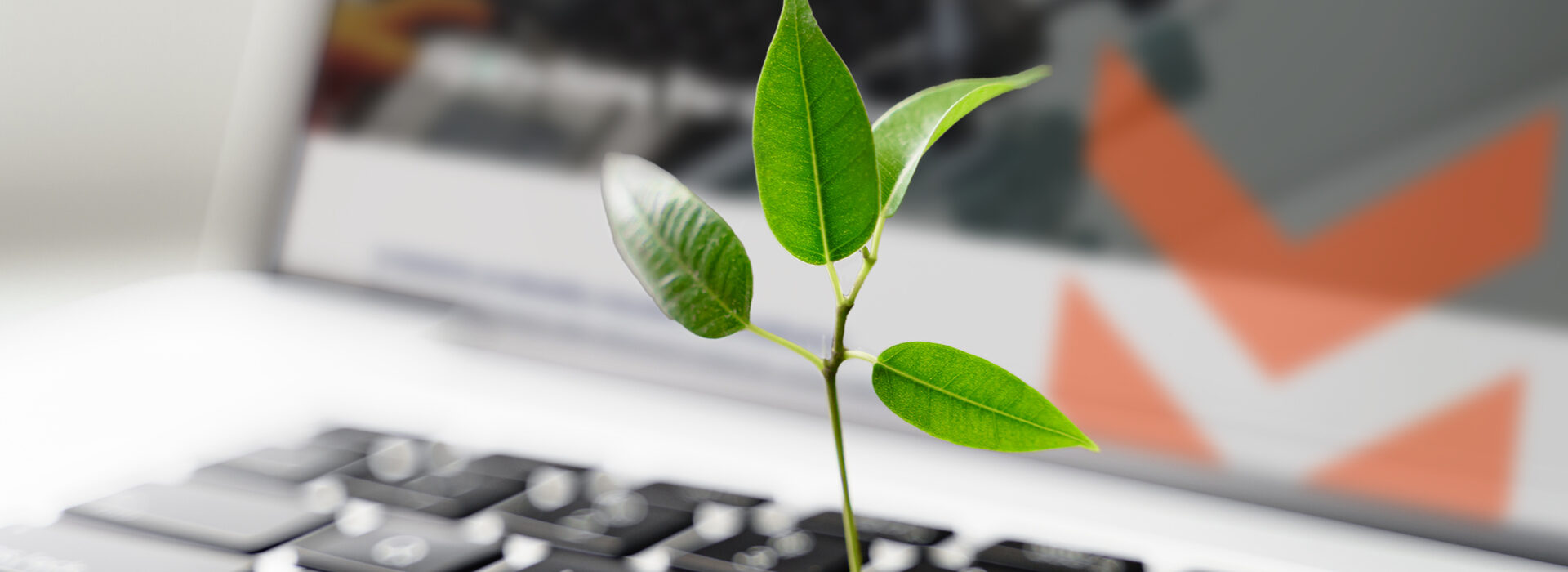 L’impegno di GlassX per la sostenibilità digitale